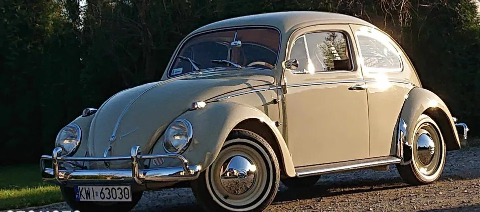 volkswagen garbus łuków Volkswagen Garbus cena 134000 przebieg: 250, rok produkcji 1962 z Łuków